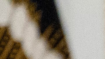 Mientras respondía, Trump mostraba una fotografía de supuestos afganos en un avión.