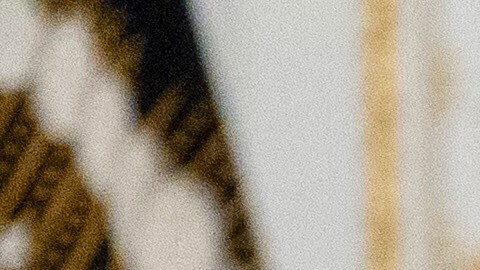 Mientras respondía, Trump mostraba una fotografía de supuestos afganos en un avión.