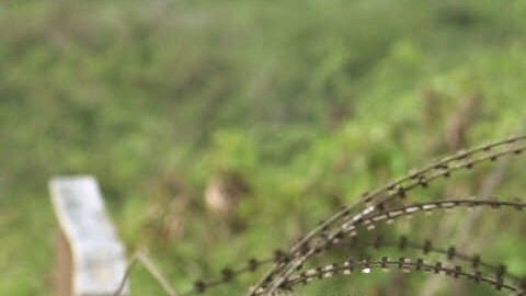 Presencia militar en Vieques, Puerto Rico, y protestas