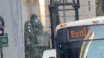 Estadísticas del NYPD muestran una tendencia a la baja en varios delitos.