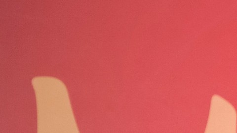 Es uno de los estrenos más importantes de la plataforma en otoño.