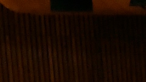 La decisión refleja el compromiso continuo de la Comisión con la protección de los empleados en toda la ciudad de Nueva York.