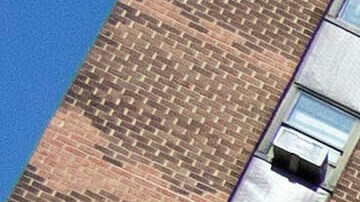 Un vocero de NYCHA reconoció la actualización que equipara las transferencias hechas en virtud de la Ley de Violencia contra la Mujer con otras solicitudes urgentes.