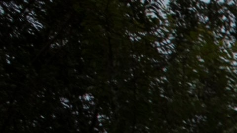 Un total de 30.986 personas están detenidas sin tener condenas ni cargos penales.