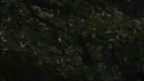 También se reportaron detonaciones y persecuciones vinculadas al tráfico de migrantes.