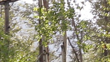 No se ha determinado el número de tripulantes en el avión.