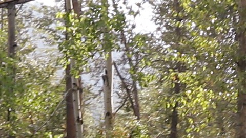 No se ha determinado el número de tripulantes en el avión.