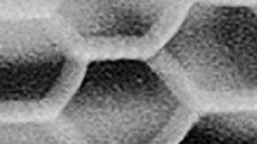 Lou Gehrig ganó seis Series Mundiales con Yankees.