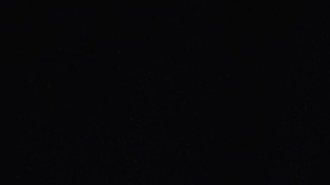 Steven Bellone, Ejecutivo del Condado de Suffolk