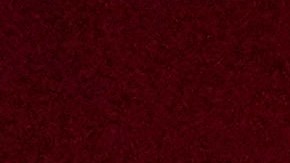 Evander Holyfield lanza dura crítica contra la modificiaciones de la Ley Ali.