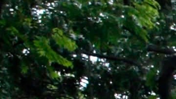 No se reportaron heridos tras el incidente.