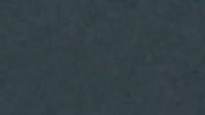 Exigen a Trump que se publique información sobre la solicitud de clemencia y piden denegarla.