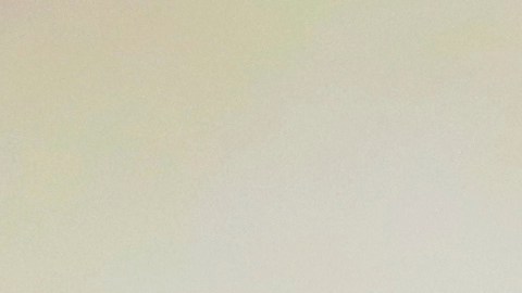 OMB y FIB se unen contra Zuffa Boxing.