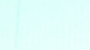 Un aficionado palestino ondea la bandera nacional palestina durante un partido de fútbol clasificatorio contra Australia para la Copa Mundial de la FIFA 2026 en el estadio Jaber Al-Ahmad en Kuwait, el martes 21 de noviembre de 2023.