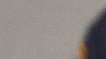 El juez Scott McAfee determinó que el caso quedó "desestimado en su totalidad".