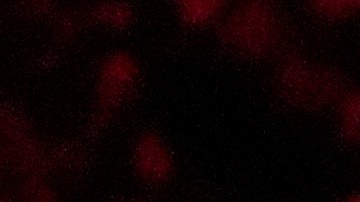 Édgar Berlanga lanza potente mensaje a Jake Paul para pelear.