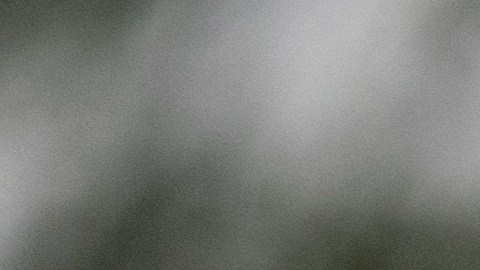 Entrevista a Nellie Pou, primera latina y boricua representante de NJ en el Congreso