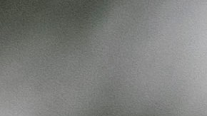 Nellie Pou, representante demócrata de NY