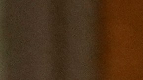 El senador de Arizona, Mark Kelly dijo que no "se va a dejar intimidar".