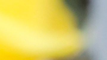 EE.UU. acusa a Nicolás Maduro y a Diosdado Cabello de liderar el Cartel de los Soles.