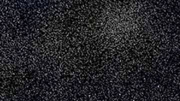 Elon Musk muestra su camiseta con la inscripción "DOGE" a los medios mientras camina por el jardín sur de la Casa Blanca, en Washington, el domingo 9 de marzo de 2025.