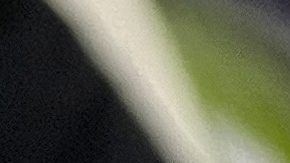 Asesinaron a exlanzador de la LVBP tras un robo en Venezuela