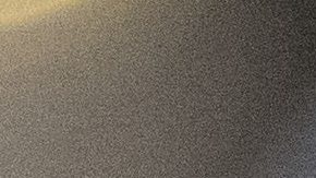 Los abogados afirmaron que la joven mujer sufría un grave trastorno mental cuando fue detenida por cargos de agresión.