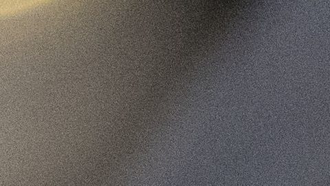 Los abogados afirmaron que la joven mujer sufría un grave trastorno mental cuando fue detenida por cargos de agresión.