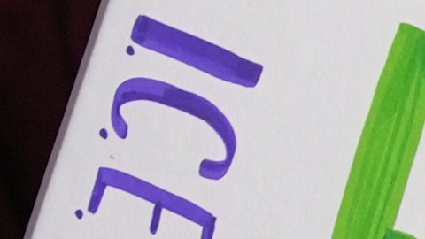 Las inscripciones de nuevos estudiantes extranjeros en Estados Unidos disminuyeron un 17% este otoño.