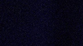 El nuevo registro permitirá recopilar todos los diagnósticos de DFT hechos por médicos del estado de Nueva York.