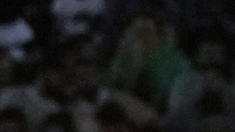 Irán boicoteará el sorteo del Mundial de 2026 por negativa de visas de Estados Unidos a su delegación