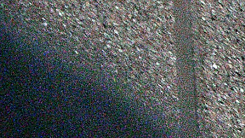 La detención de Tall se produce un mes después de que agentes de ICE arrestaran a varios vendedores ambulantes en Canal Street.