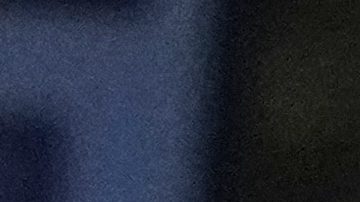 Según Adams, las iniciativas estarán lideradas por el New York Community Trust, que canalizará donaciones a organizaciones sin fines de lucro de toda la región.