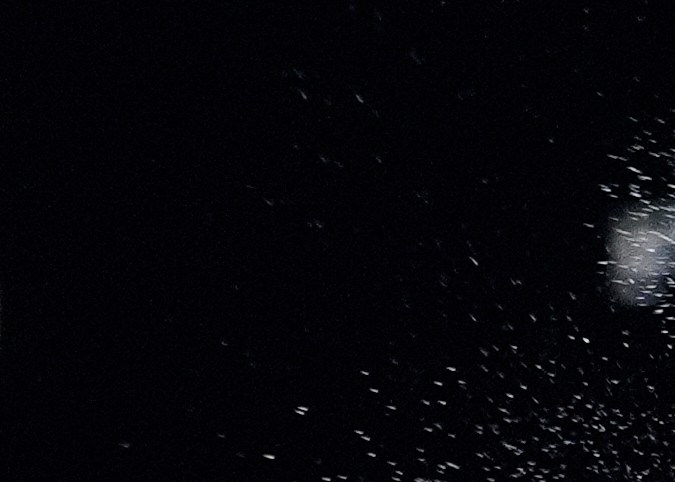 Pitbull Cruz apuesta por ser la próxima figura del boxeo en México.