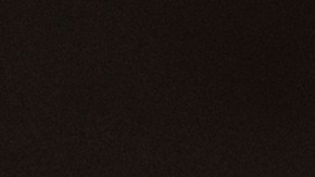 Kent dijo que "una inmigración más amplia" de países de mayoría musulmana sucedió bajo el mandato de Biden, con más de dos millones de personas que entraron durante su gestión.