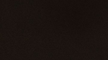 Kent dijo que "una inmigración más amplia" de países de mayoría musulmana sucedió bajo el mandato de Biden, con más de dos millones de personas que entraron durante su gestión.