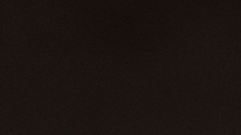 Kent dijo que "una inmigración más amplia" de países de mayoría musulmana sucedió bajo el mandato de Biden, con más de dos millones de personas que entraron durante su gestión.