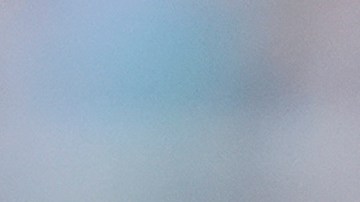 Trent Grisham jugará un año más con los Yankees.