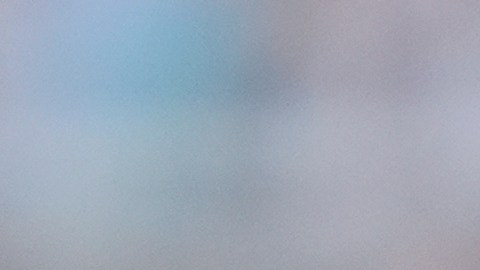 Trent Grisham jugará un año más con los Yankees.