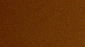 Joseph Edlow, director del Servicio de Ciudadanía e Inmigración de Estados Unidos (USCIS)