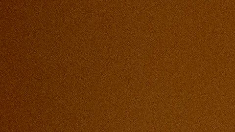 Joseph Edlow, director del Servicio de Ciudadanía e Inmigración de Estados Unidos (USCIS)