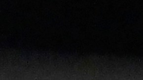 Devin Haney creo que Crawford debe retirarse.