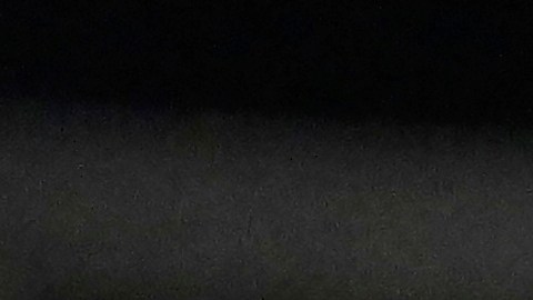 Devin Haney creo que Crawford debe retirarse.