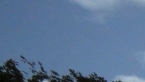 Donald Trump y Jeffrey Epstein