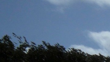 Donald Trump y Jeffrey Epstein