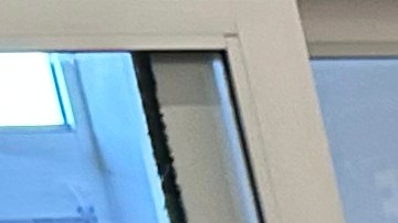 Encuesta Pew Research sobre desaprobación de latinos a Trump