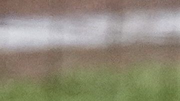 MLB: Nick Kurtz y Drake Baldwin ganaron en sus ligas el premio Novato del Año 2025