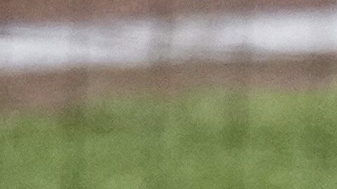 MLB: Nick Kurtz y Drake Baldwin ganaron en sus ligas el premio Novato del Año 2025