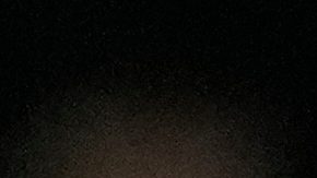 Tiago Palacios, jugador de Estudiantes de La Plata durante un partido de Copa Libertadores.