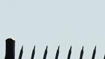 Manifestación contra la guardia nacional en Memphis, Tennessee